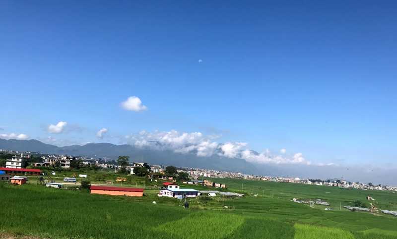 School buildings surrounded by paddy fields